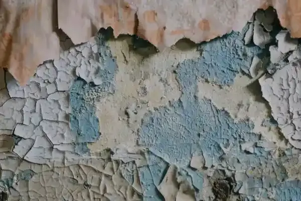 Sydney home interior showing areas prone to mould growth due to humidity and poor ventilation
