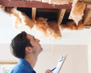 Detailed Report Preparation