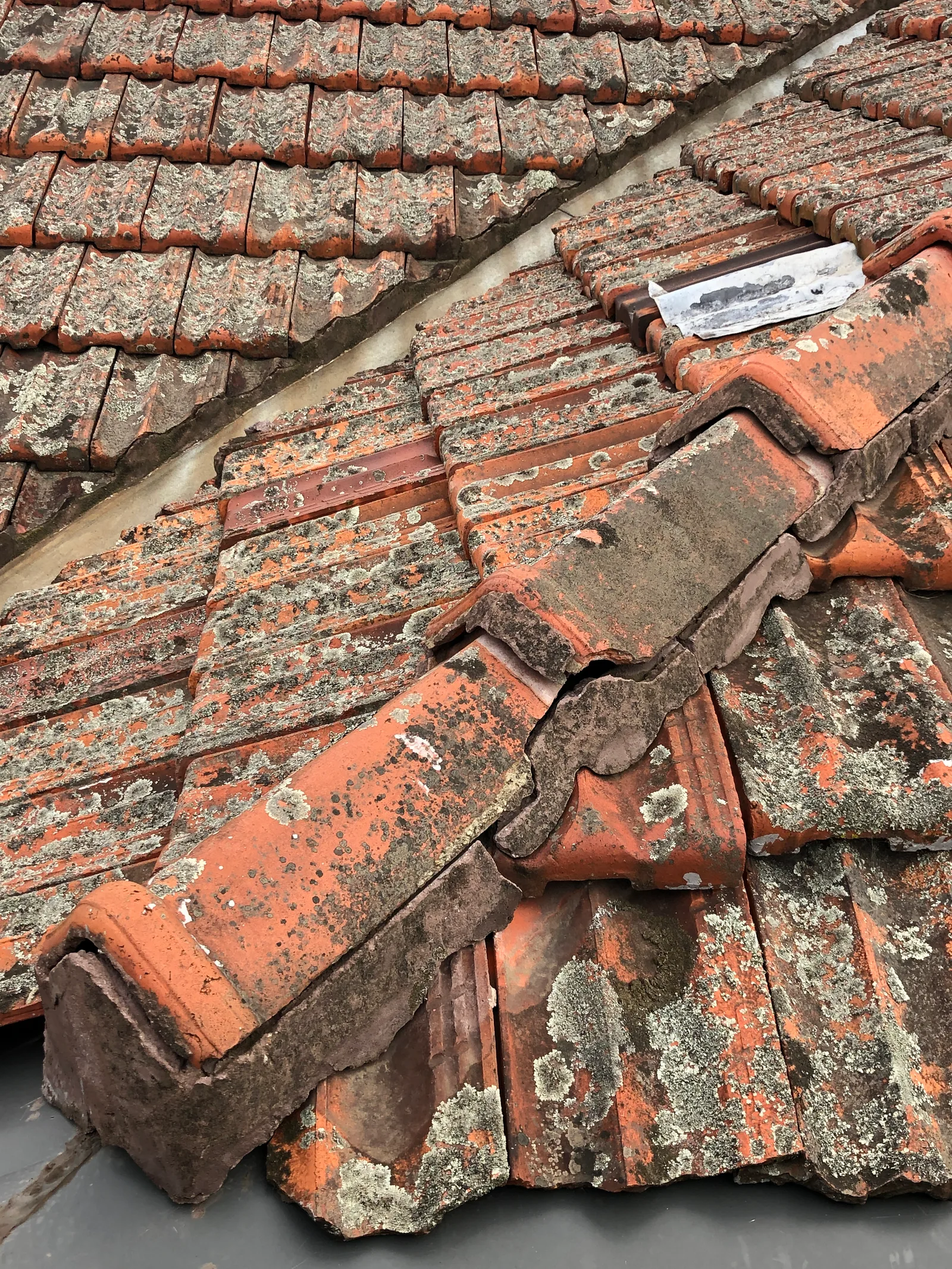 Broken and displaced ridge capping on an aged tiled roof with lichen growth, photographed during an inspection