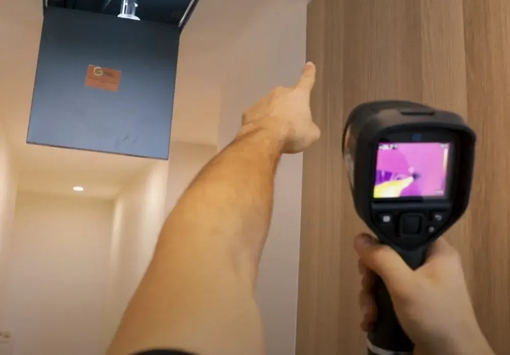 Close-up of mould growth on an interior wall in an Australian home