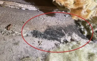 Roof Mould