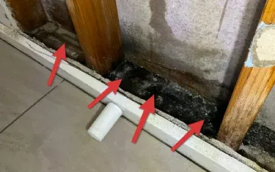 Wall Mould