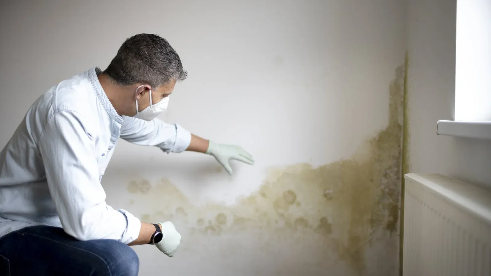 Owner Inspections - Building and Pest Inspections Australia