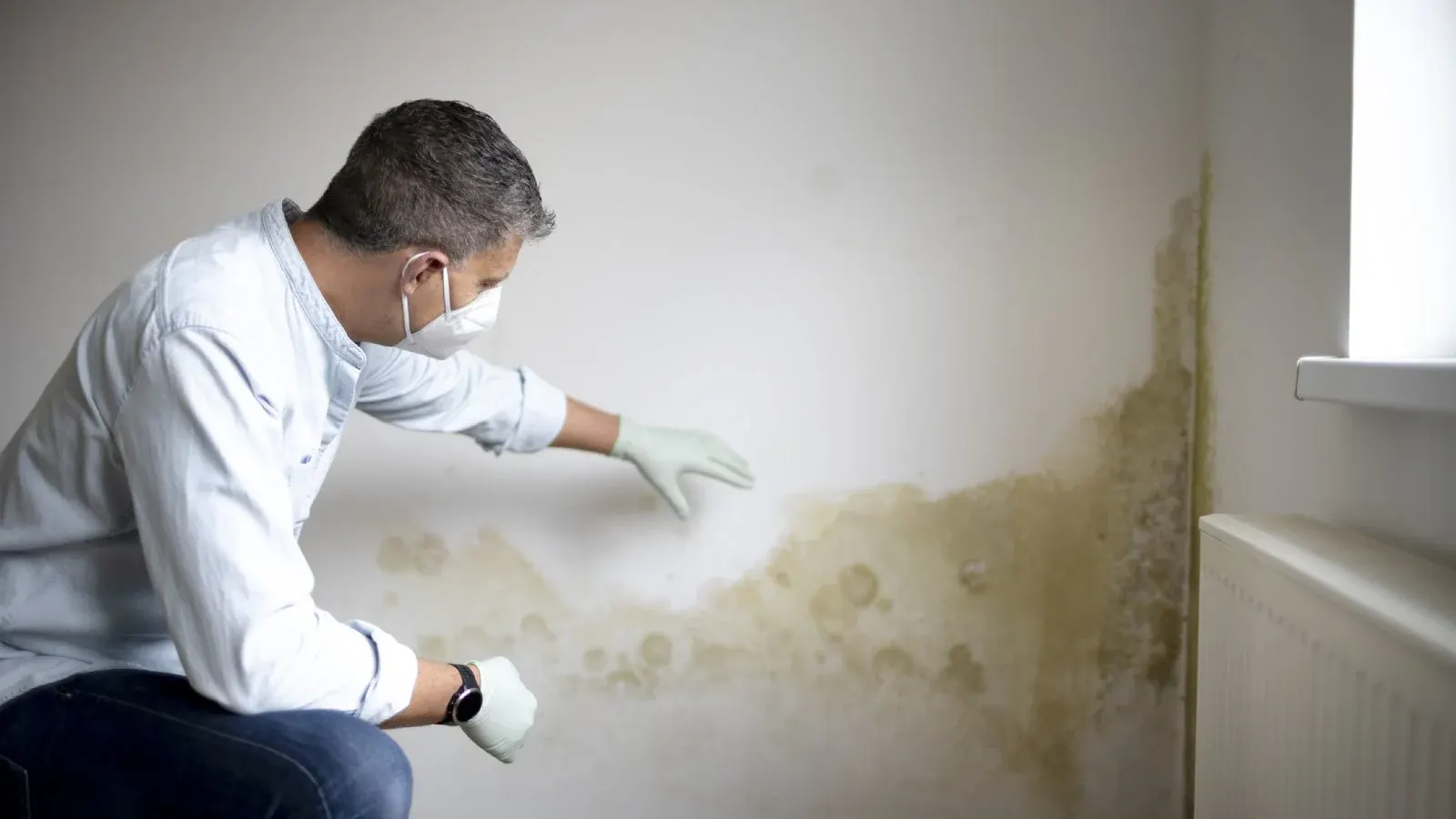 Professional inspector using advanced mould detection equipment