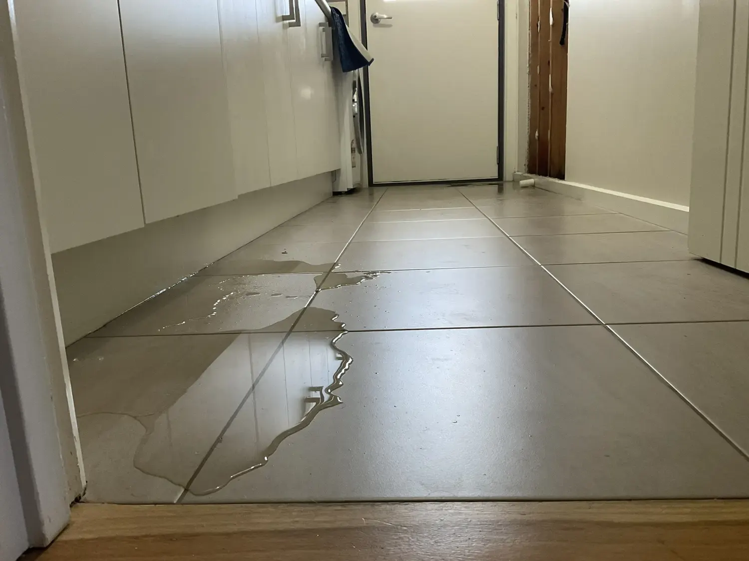 Leaking tap indicating property defect requiring inspection