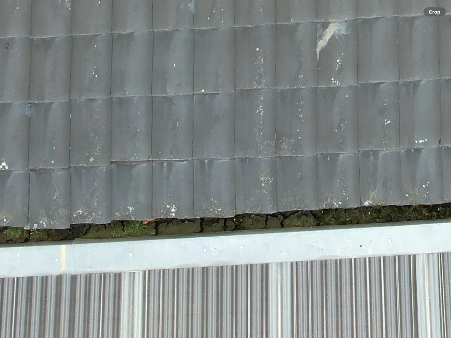 Roof and gutters of a rental inspected for weatherproofing