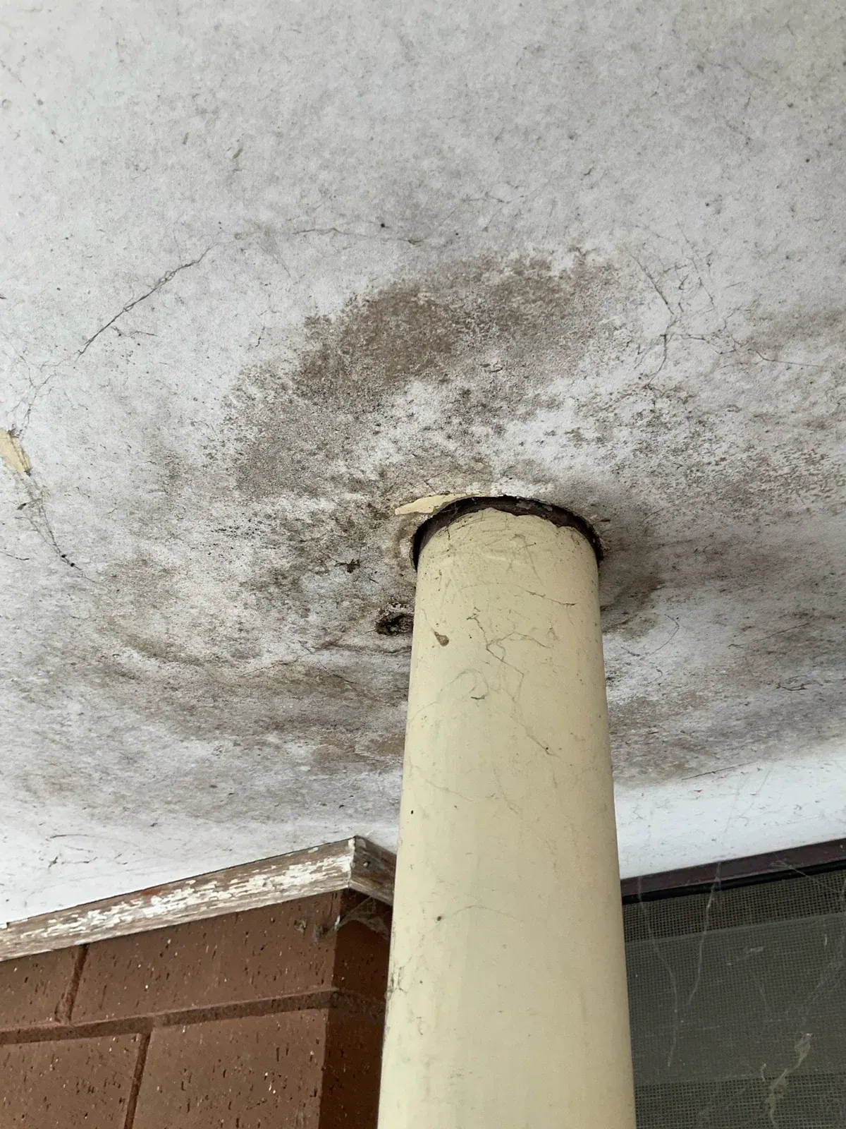 Mould on a ceiling recorded during a rental minimum standards inspection