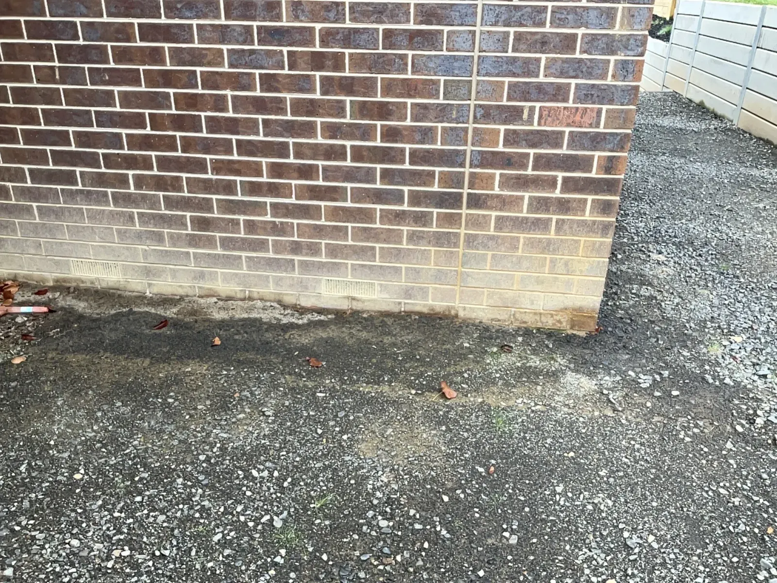 Rising damp staining along the base of a brick wall