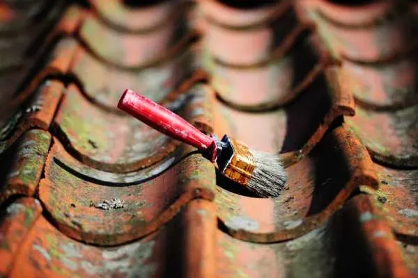 Roof Defects