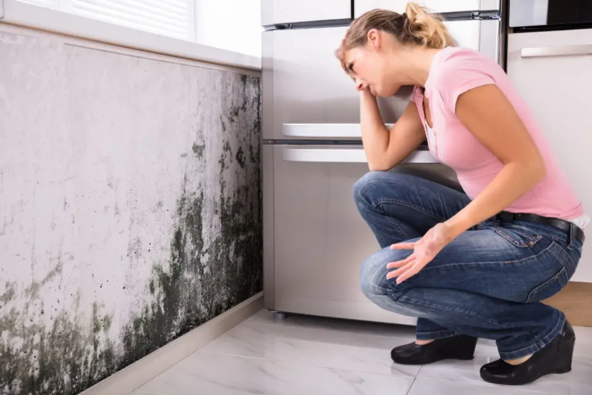 Property buyer reviewing a professional mould inspection report with thermal imaging results