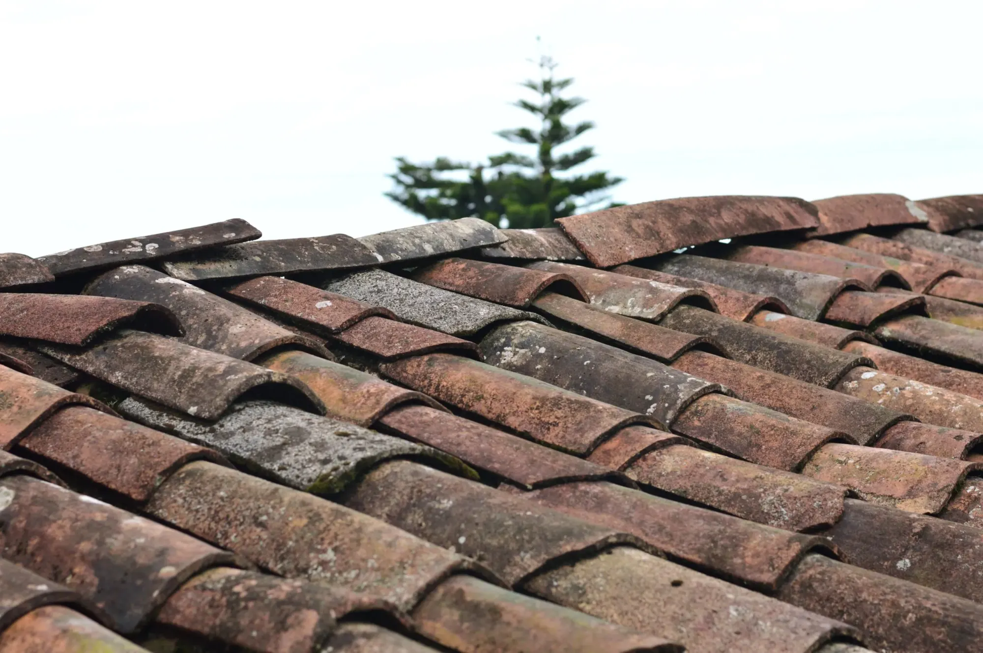Australian home with an ageing roof showing signs of wear from harsh weather