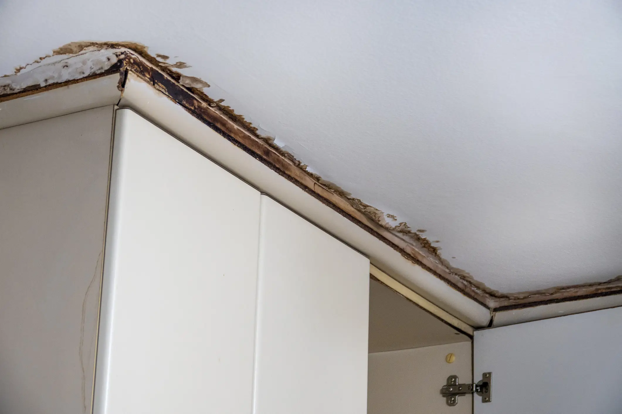 defect found in ceiling