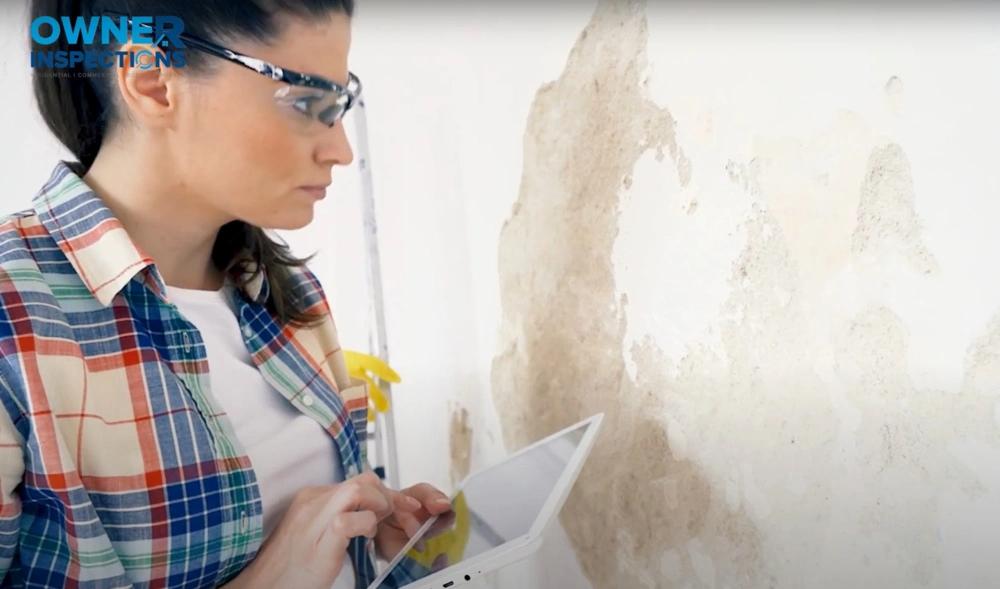 home commercial inspections
