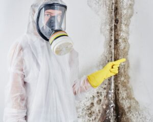 Mould Inspections